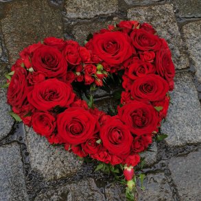 pent rosehjerte, rde roser