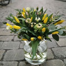 Bukett p�sketulipaner