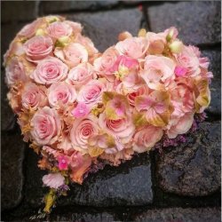 Rosa rosehjerte til begravelse