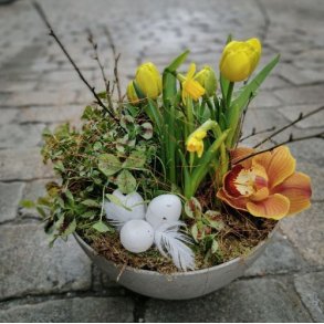 Sammenplantning p�skeliljer