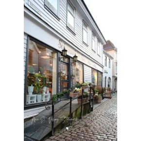 Bilder fra Hollendergaten