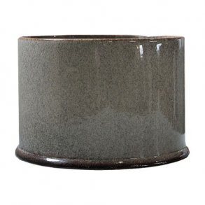 Blomsterpotte, Astilbe